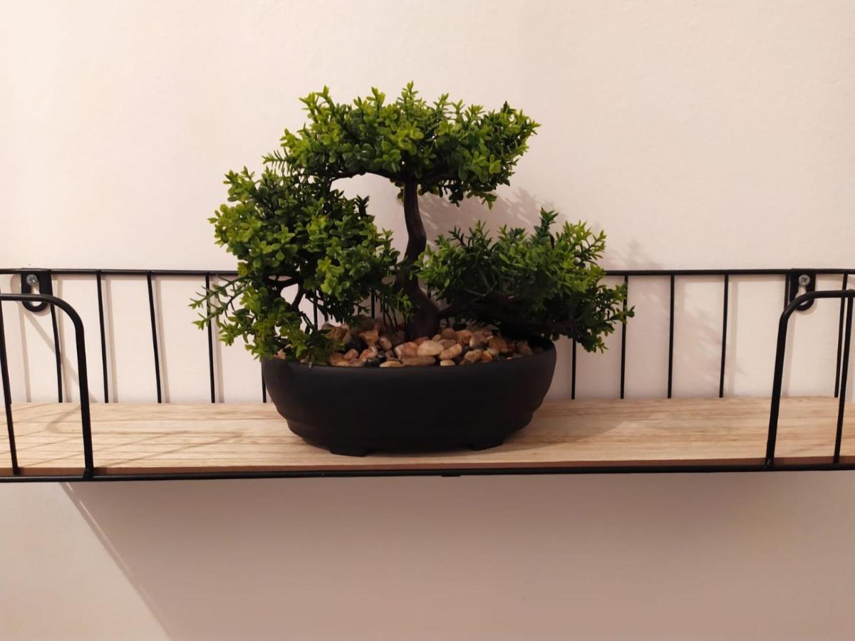 Cozy Apartments Danica Novalja - Ground Floor المظهر الخارجي الصورة
