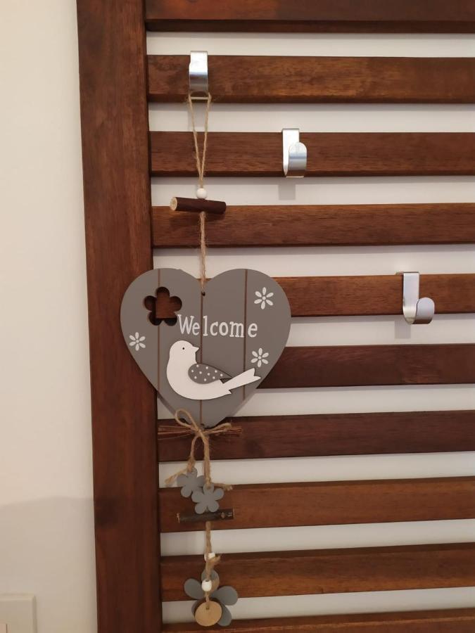 Cozy Apartments Danica Novalja - Ground Floor المظهر الخارجي الصورة