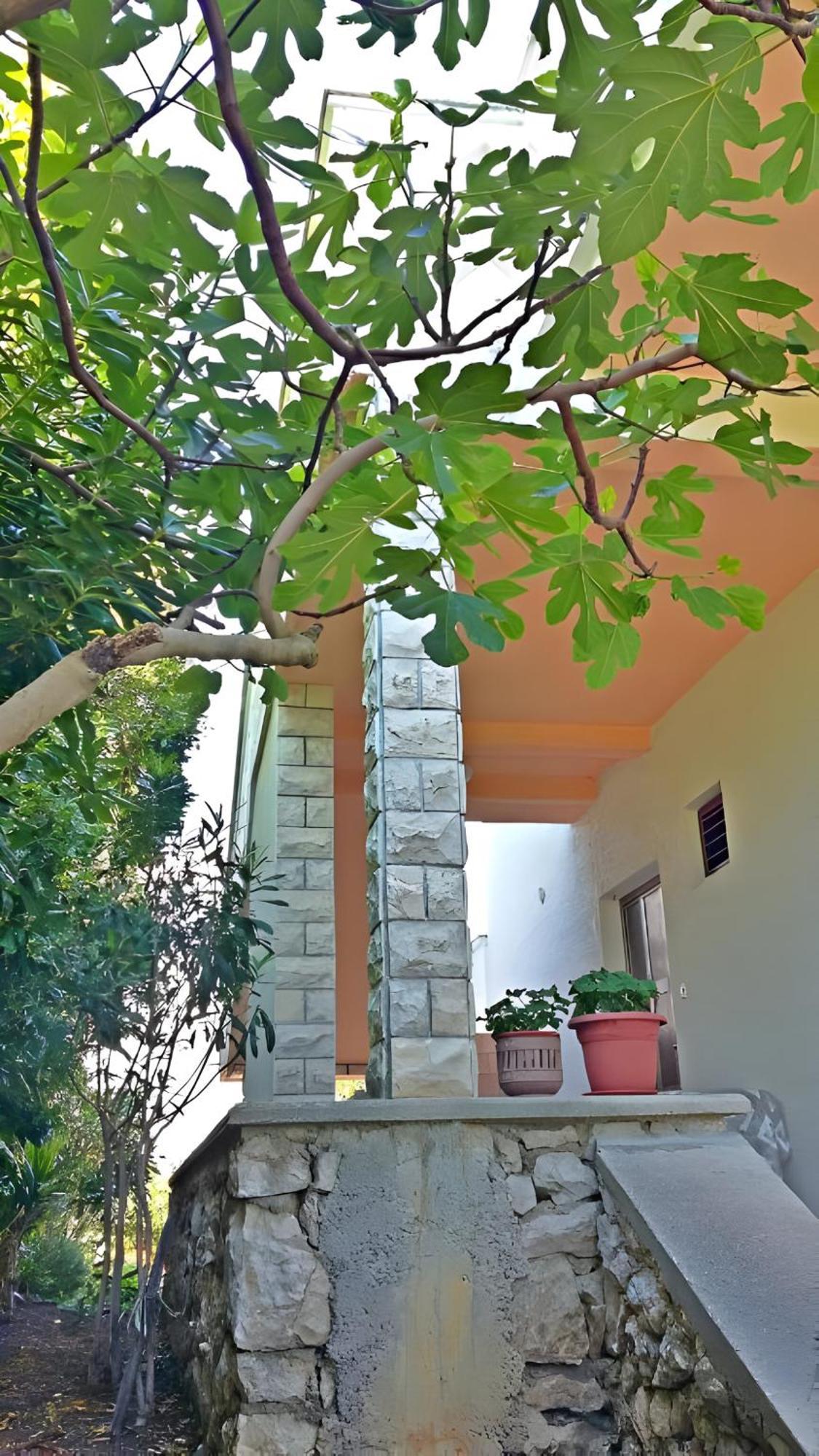Cozy Apartments Danica Novalja - Ground Floor المظهر الخارجي الصورة