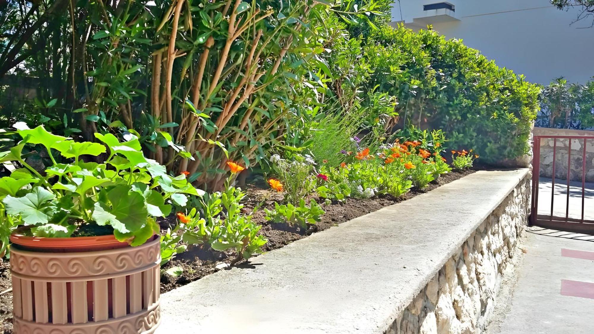 Cozy Apartments Danica Novalja - Ground Floor المظهر الخارجي الصورة