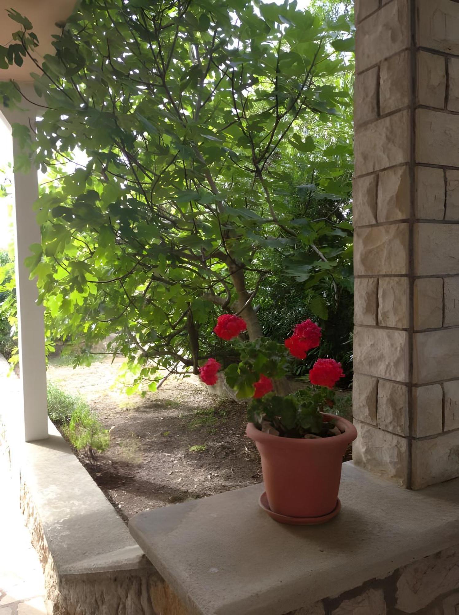 Cozy Apartments Danica Novalja - Ground Floor المظهر الخارجي الصورة